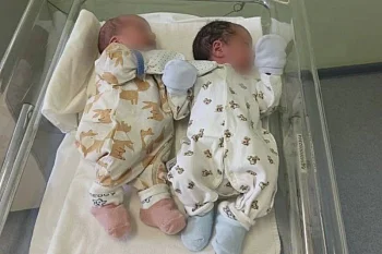 В 2026 году в Калининградской области появились пять пар двоен, три из них - королевские 