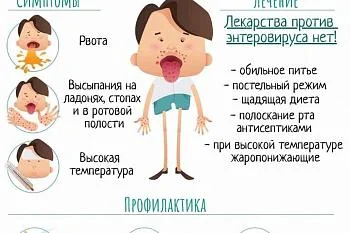 Профилактика энтеровирусной инфекции при выезде за границу Профилактика энтеровирусной инфекции при выезде за границу